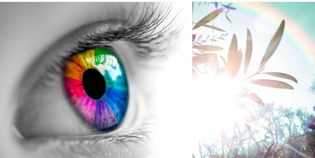 A captivating image featuring a rainbow-colored eye gazing into nature. The eye serves as a vibrant focal point, with a scenic backdrop of lush trees and a vivid rainbow in the sky. This imaginative composition conveys a sense of wonder and connection between the observer and the beauty of the natural world.