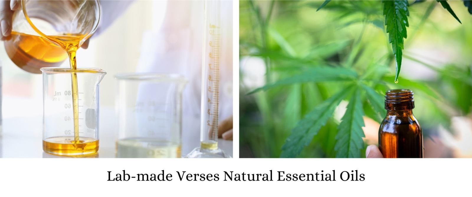 Pure essential oils vs synthetic oils