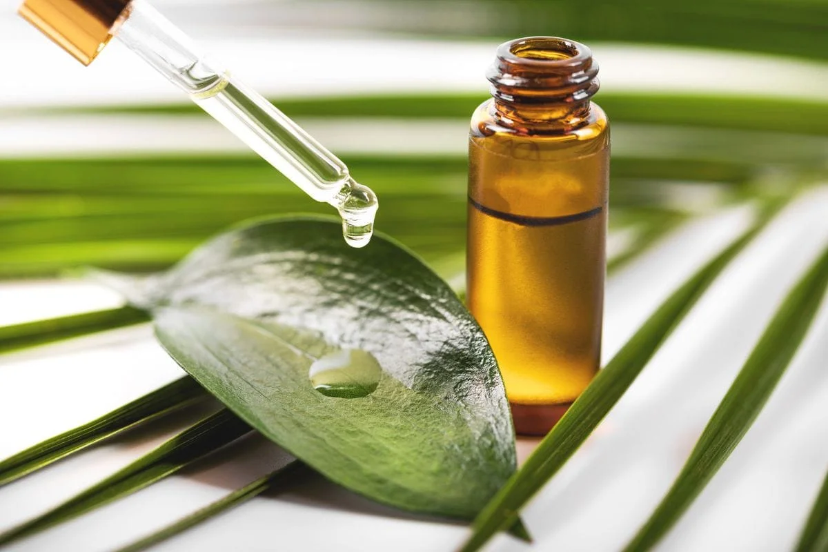 Best Aalign approved essential oil brands for 2025