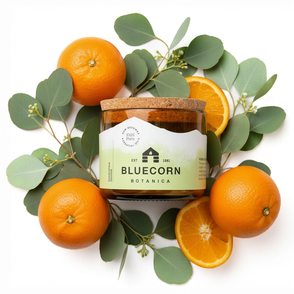 Bluecorn Beeswax Botanica candle in blown glass with eucalyptus and orange