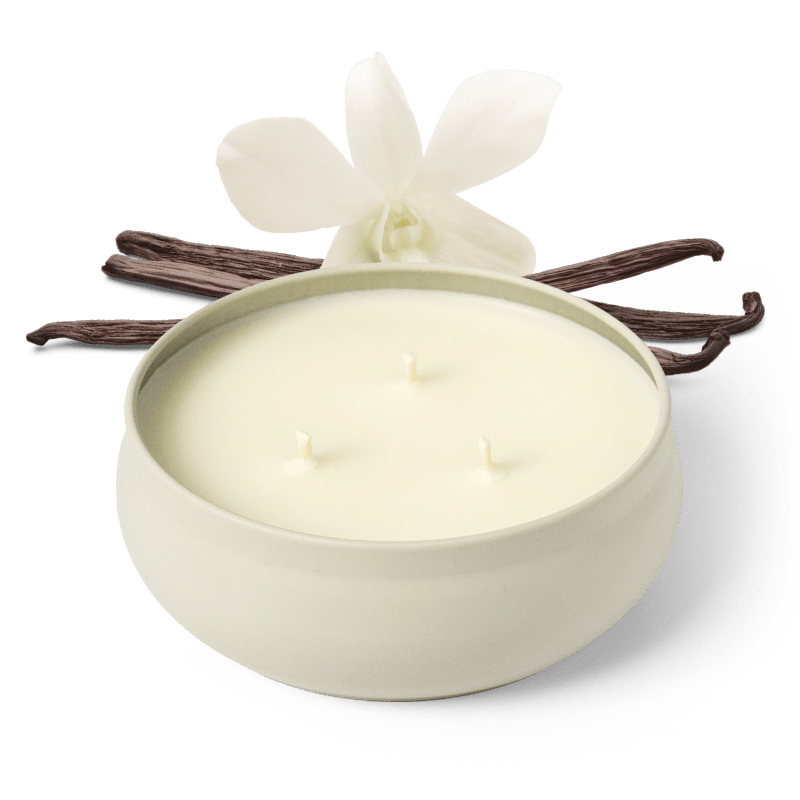 Grow Fragrance Blondewood 3 Wick Candle