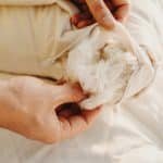 Savvy Rest Organic Kapok Pillow