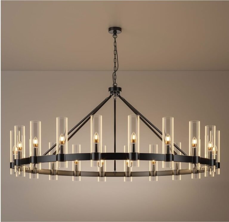 Black Ring Chandelier